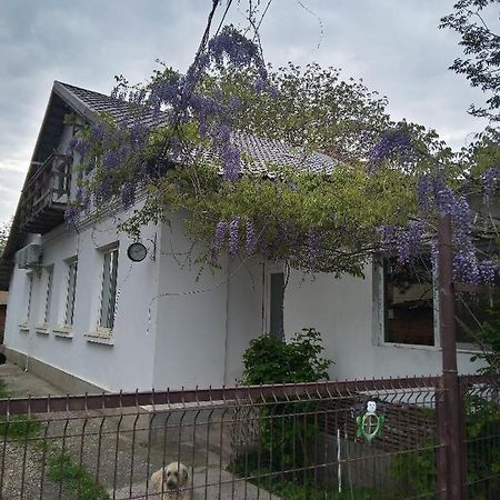Casa Mocanu Gyurgyevó Kültér fotó