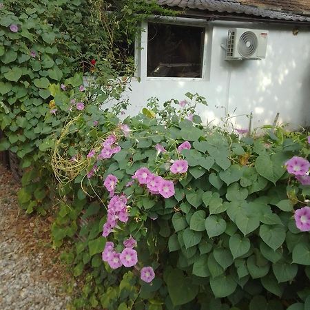 Casa Mocanu Gyurgyevó Kültér fotó