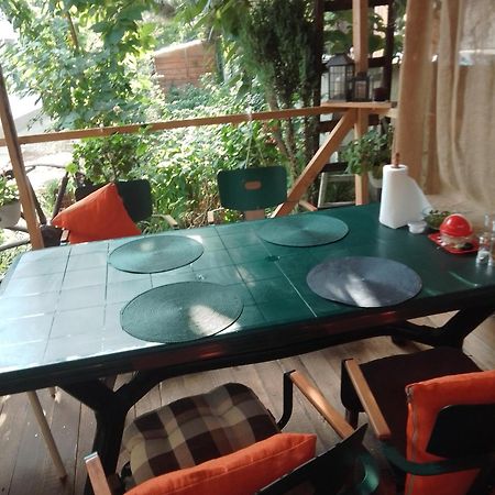 Casa Mocanu Gyurgyevó Kültér fotó