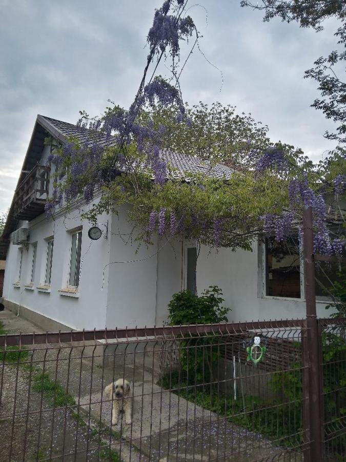 Casa Mocanu Gyurgyevó Kültér fotó