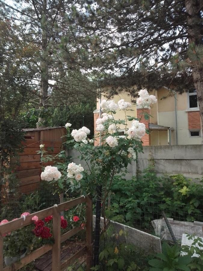 Casa Mocanu Gyurgyevó Kültér fotó