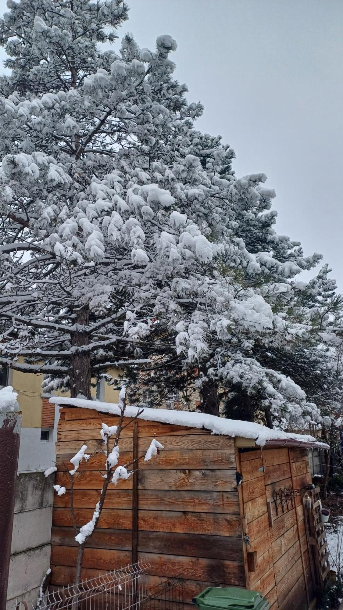 Casa Mocanu Gyurgyevó Kültér fotó