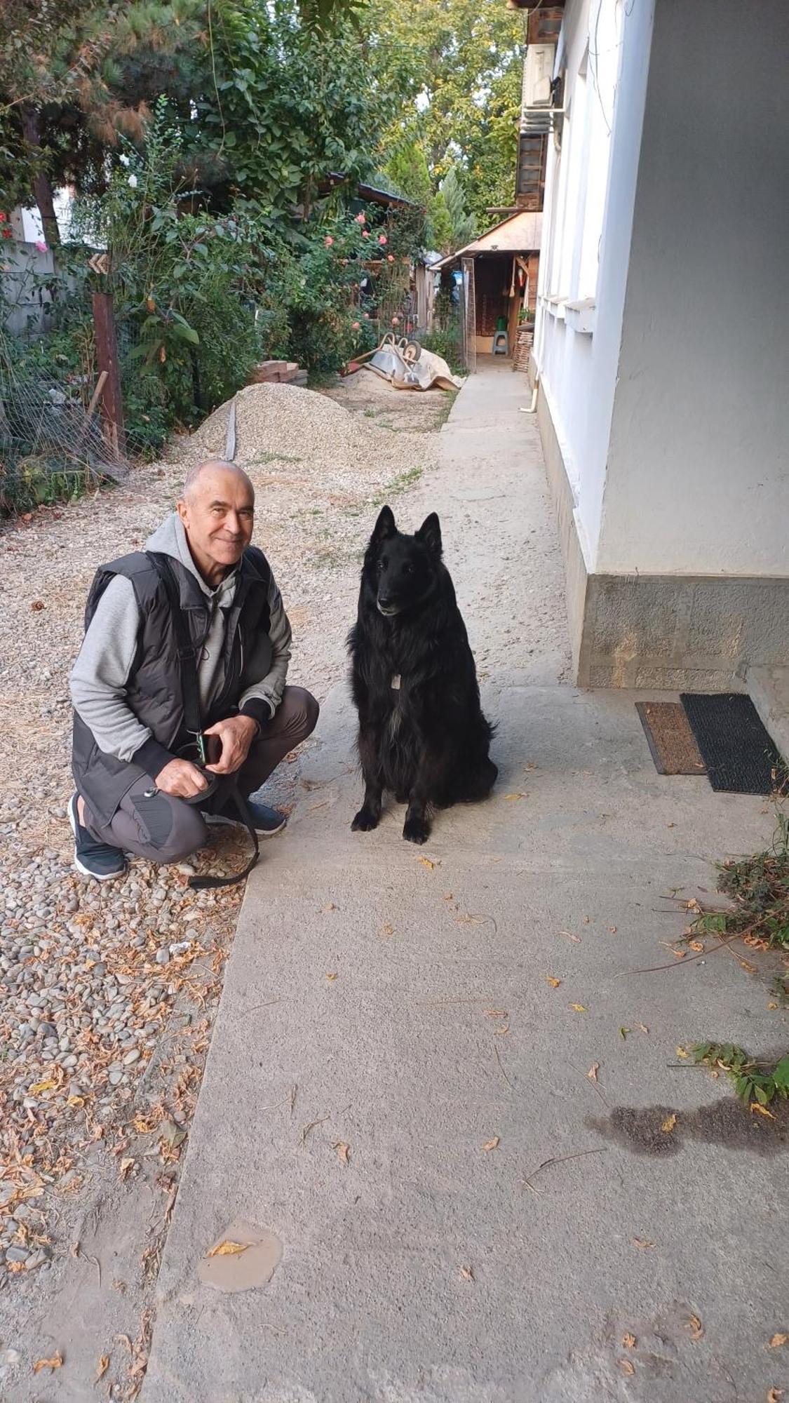 Casa Mocanu Gyurgyevó Kültér fotó
