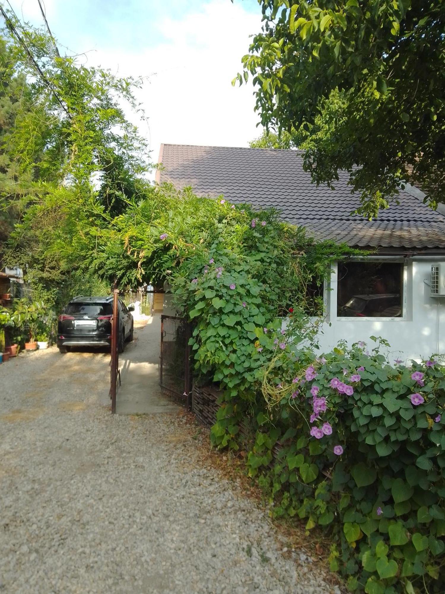Casa Mocanu Gyurgyevó Kültér fotó