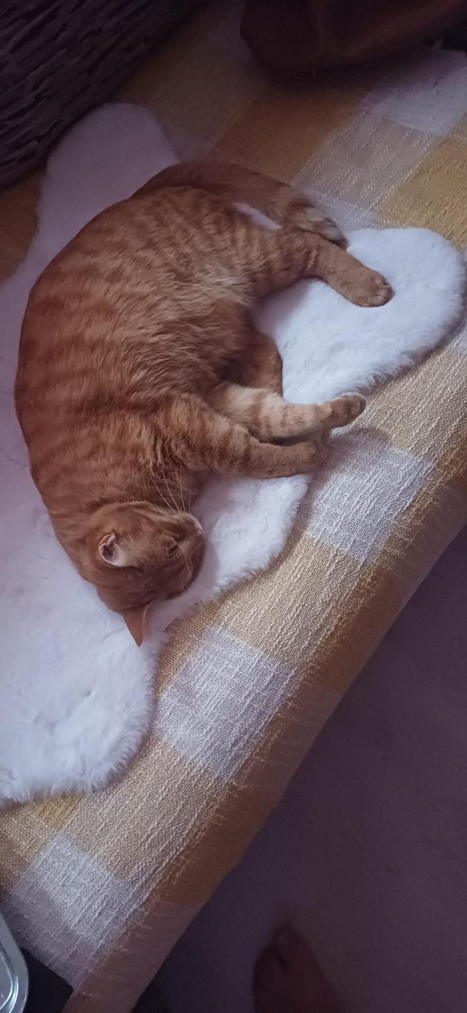 Casa Mocanu Gyurgyevó Kültér fotó